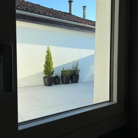 Casa G