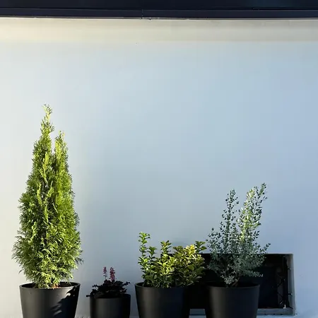 Appartement Casa G
